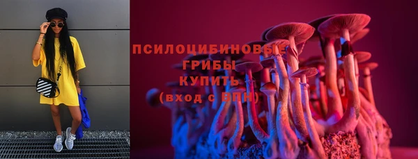 стафф Кодинск