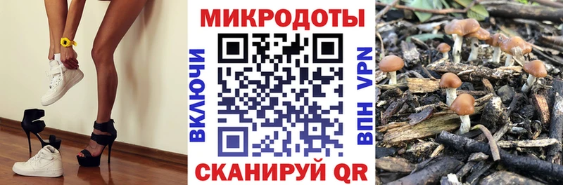 Псилоцибиновые грибы MAGIC MUSHROOMS  Купить закладки  Братск 